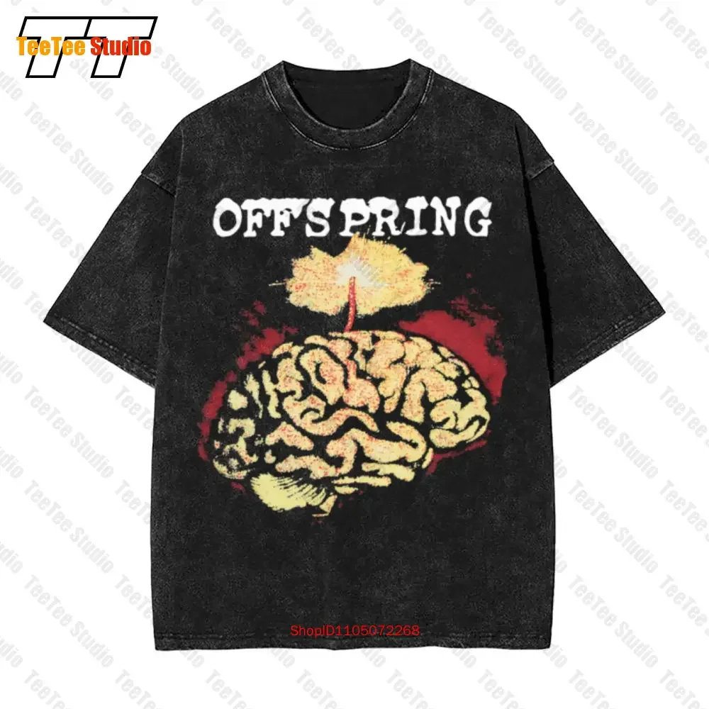 The Offspring Smash 1994 Tour Vintage Oversized T-Shirt Album An18351 GK1L