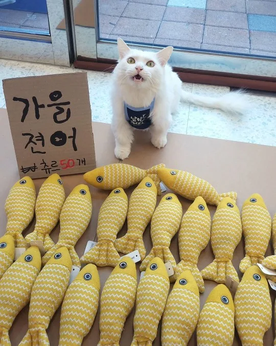 실물 포토 리뷰