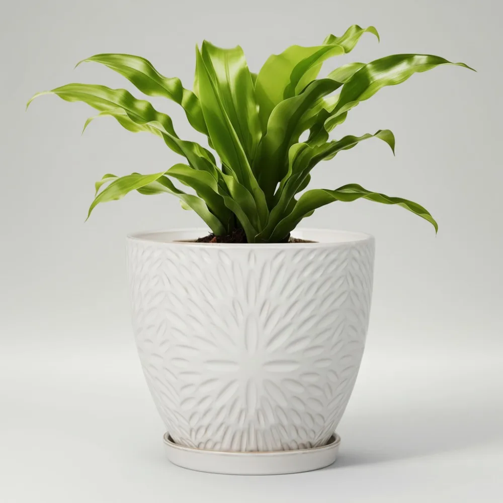 

8-дюймовый керамический горшок для растений с дренажным отверстием и блюдцем, современный круглый цветочный горшок для комнатных уличных растений