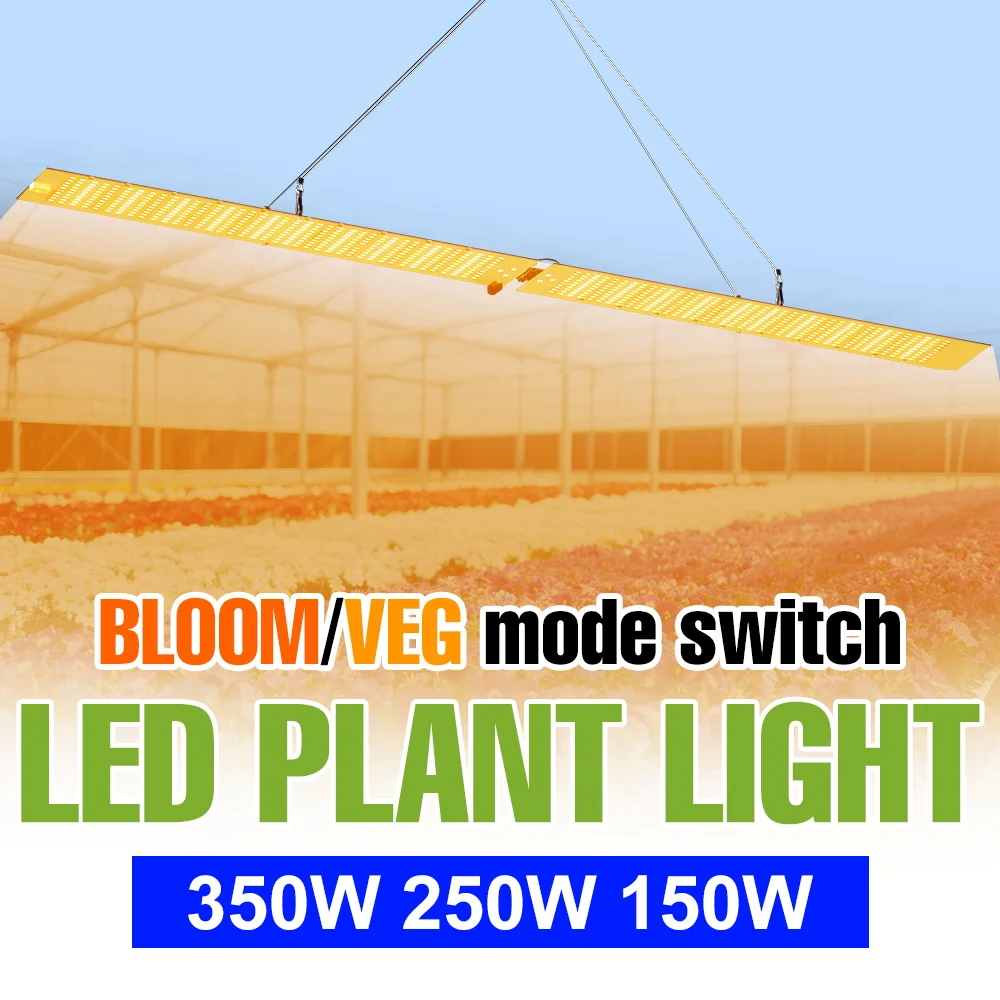 350w-led-quantum-board-plant-grow-light-full-spectrum-phytolamp-indoor-flower-growth-tent-tomato-vegetables-cultivation-lighting