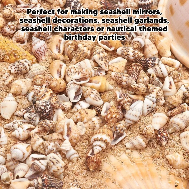 1 Lata de Conchas Marinhas Pequenas, Conchas Espirais Naturais Não Porosas para Decoração de Aquário DIY e Garrafa Flutuante