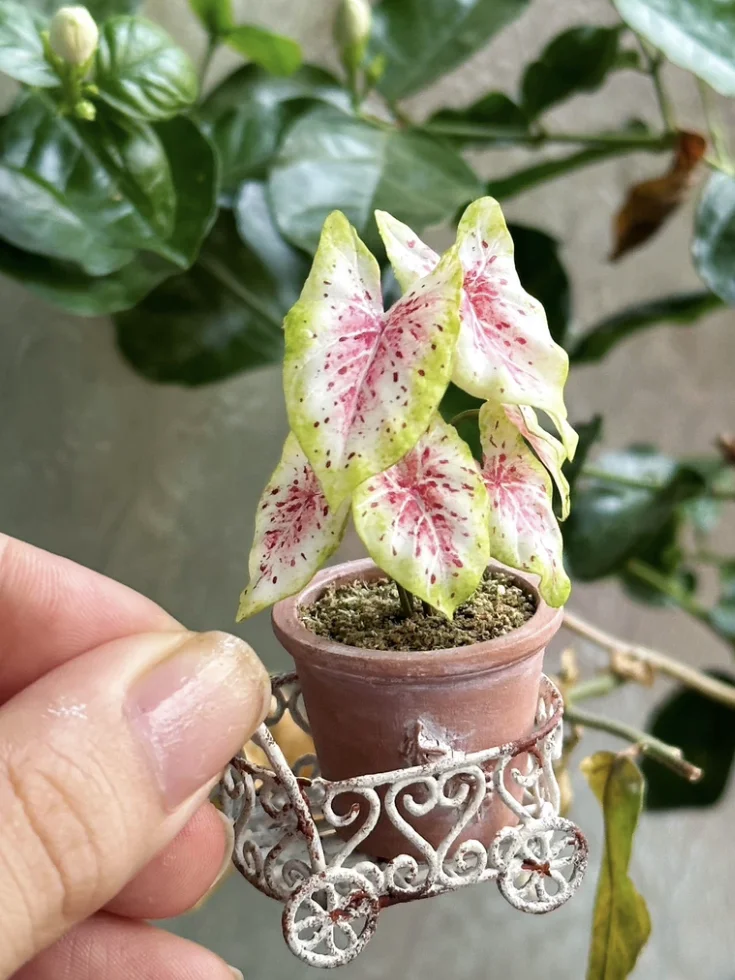 1:6 Miniature Plant Set, Handmade Realistic Fern Maple Caladium Potted,Exclusive Custom Sizes BJD Dollhouse Garden Bjd Decor Art