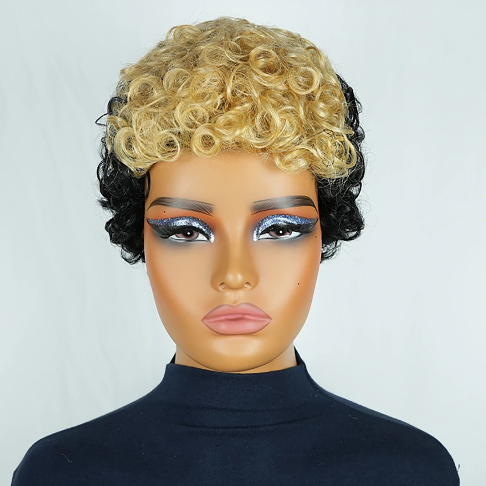 Short Human Hair Wi… - image