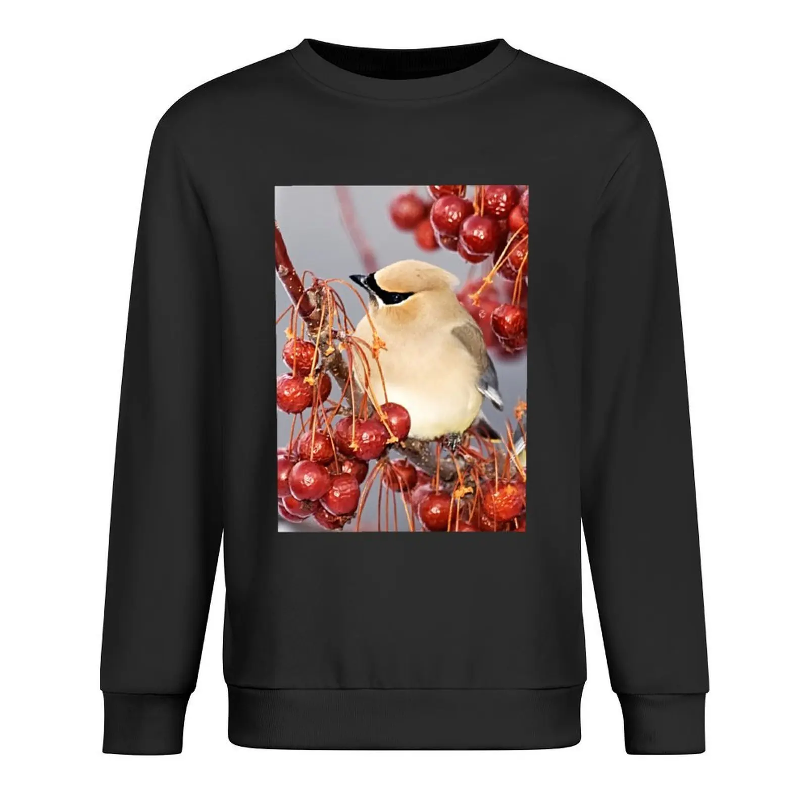 

Feathers and Cherries Pullover aesthetic clothing mens designer clothes tracksuit korean clothes graphic sweatshirts