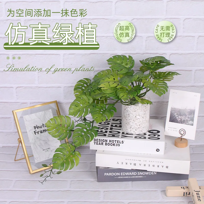 Simulated plant turtle back leaves, potted indoor tabletop decorations, plant wall artificial flower and leaf matching materials