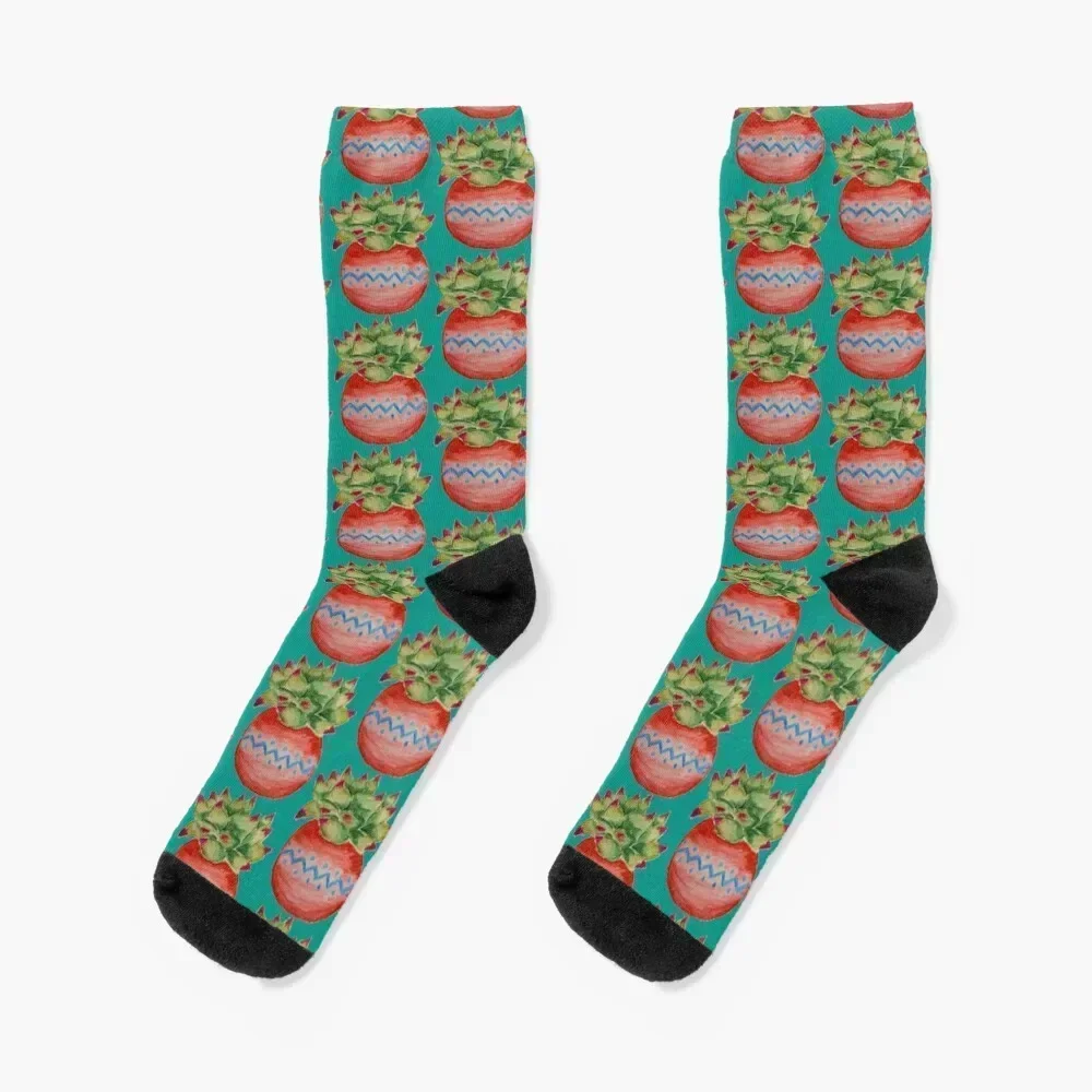 

Succulent in red pot Socks Novelties man Boy Child Socks Women's