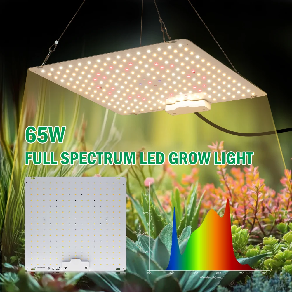 Full spectrum LED growth lamp 65W diode LED daylight quantum growth lamp for greenhouse hydroponic plant growth lighting