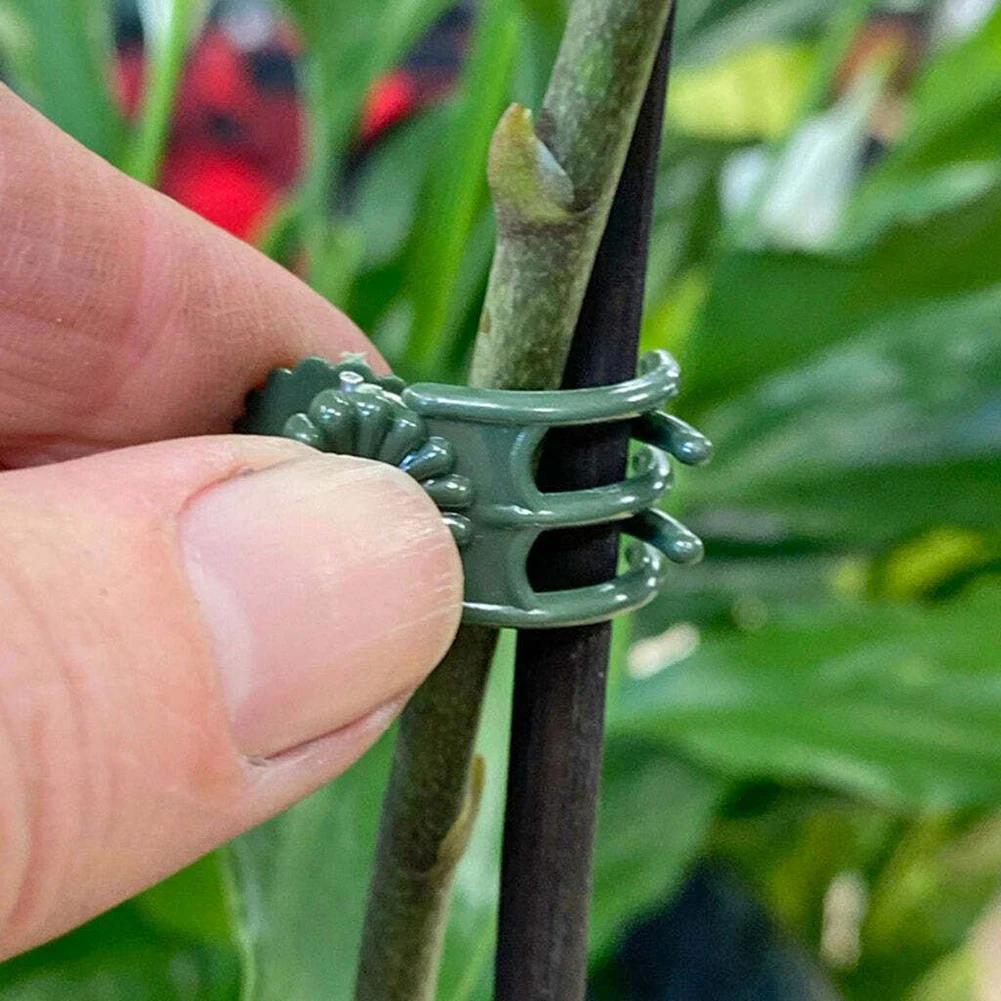 20Pcs Orchid Stem Clip Plant Support Vine Plastic Clips Flower Grow Branch Clamps Garden Plant Support Fixture Bracket