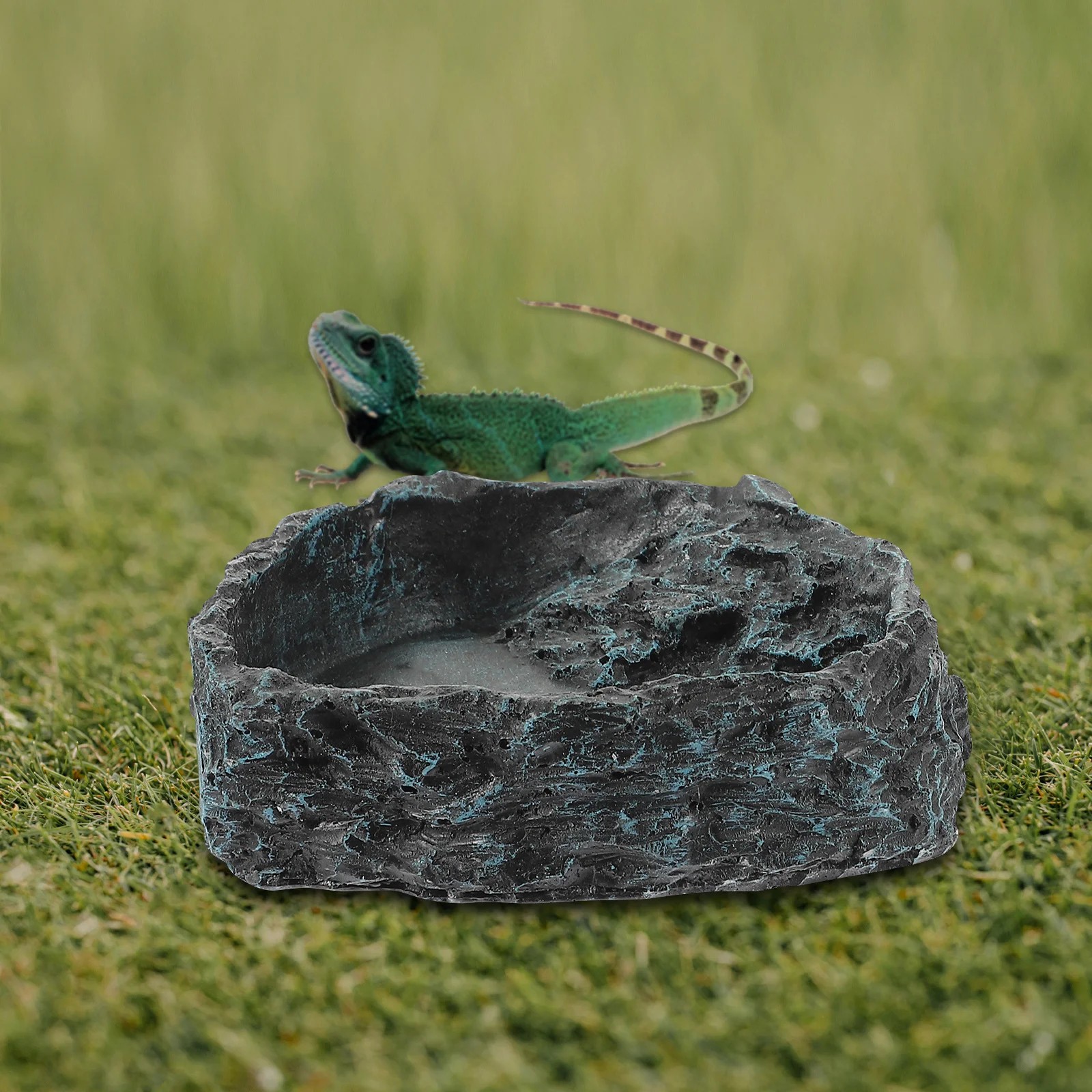 

2Pcs Reptile Food Dish Wear-Resistant Resin Bowl Decorative Feeding Water Container Snack Supplies for Household Pets