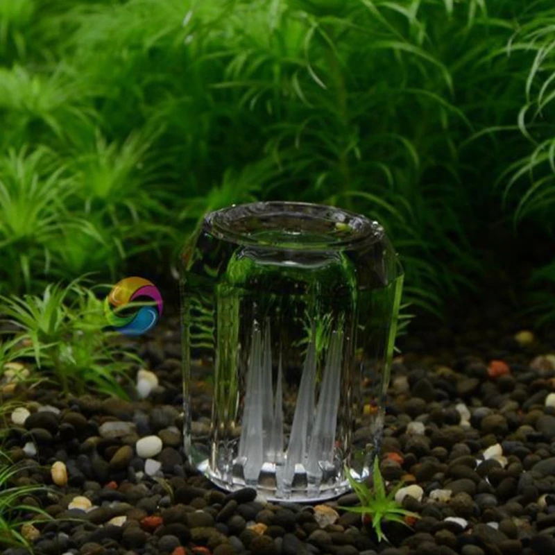 

2025 New Leech-Trap for Aquarium 8 Holes Transparent Acrylic Mini Can Planaria Trap Leeches Catcher for Crystal Red Shrimp Tanks