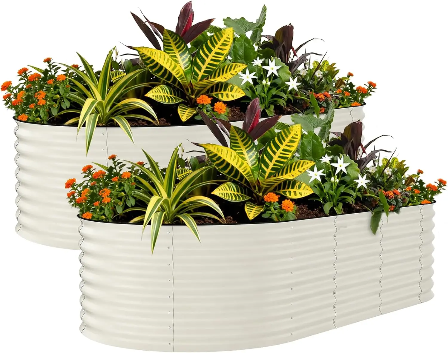 

2 Pack 8x4x2ft Galvanized Raised Garden Bed Kit, Oval Metal Planter Boxes with Anti-Cut Safety Edges, Rust-Resistant, Beige