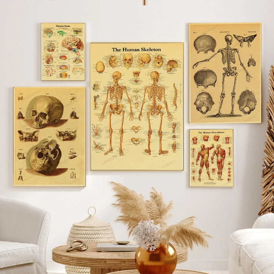 Anatomy and Physiology  Poster Kraft Paper Prints Home Decoration Wall Kraft Room Vintage Nostalgia Posters Art Wall Painting