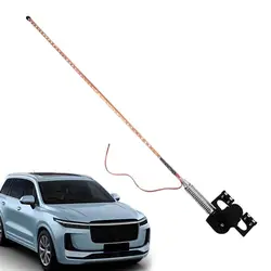 Car Antenna Lights LED Whip Lights 12V/24V Remote Control Flagpole Antenna Whips For UTV ATV Off Road Truck Sand