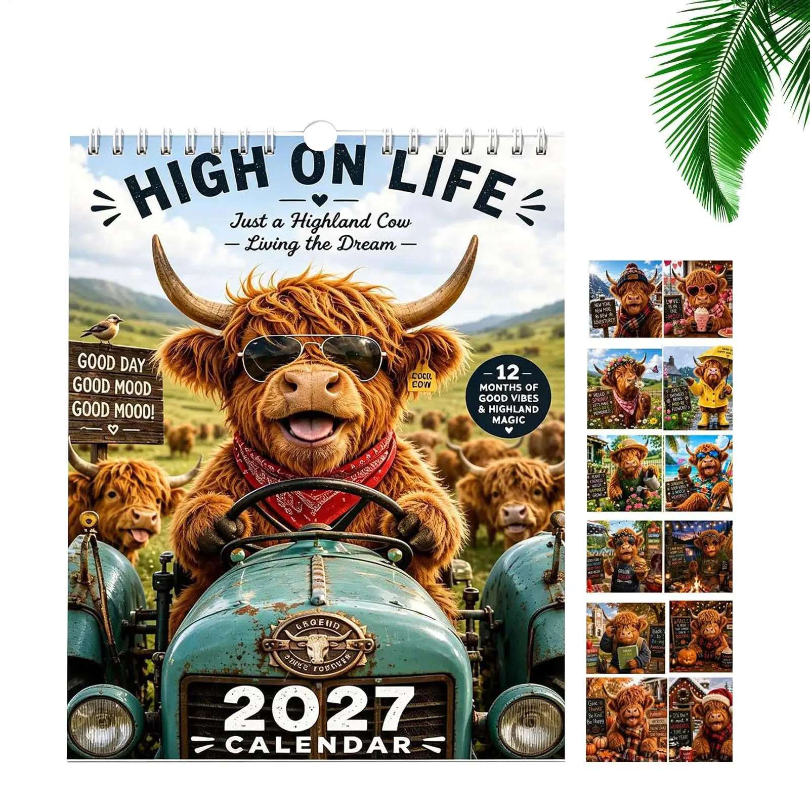 2027 Highland Cow Wall Calendar Monthly Wall Calender Cute Highland Cow Display Schedule Planner For Home Office School