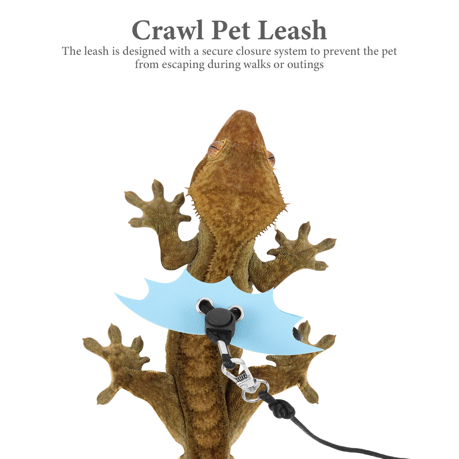 

1 Set Reptile Harness Lizard Leash Adjustable Bat Wing Design Wear Resistant Secure Closure Outdoor Use Small Pet Bearded Dragon