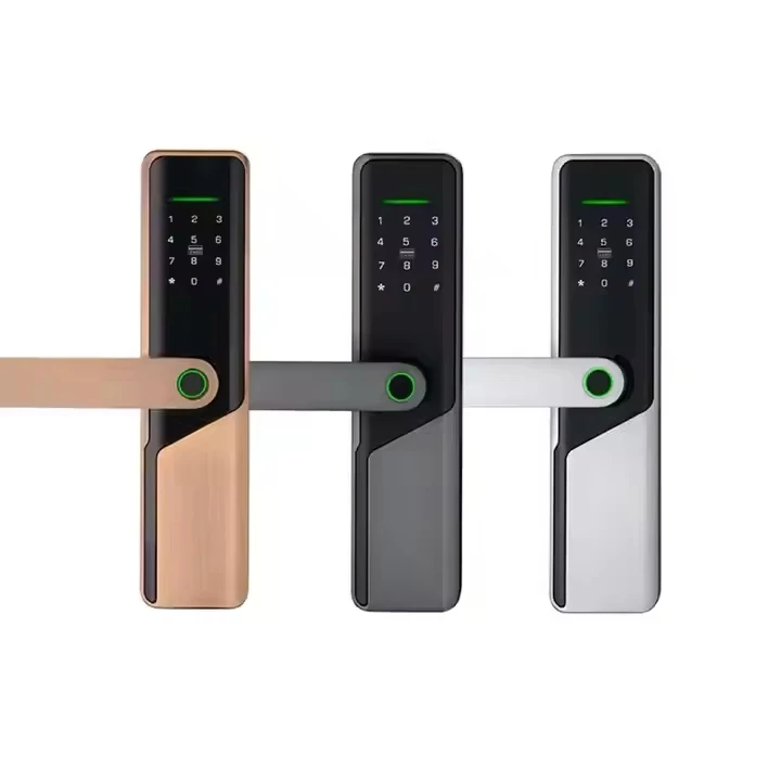 

Main Door Entrance Locks Access Control Lock External Smart Digital for Doors Security Front Handle Ttlock Tuya Keyed Entry