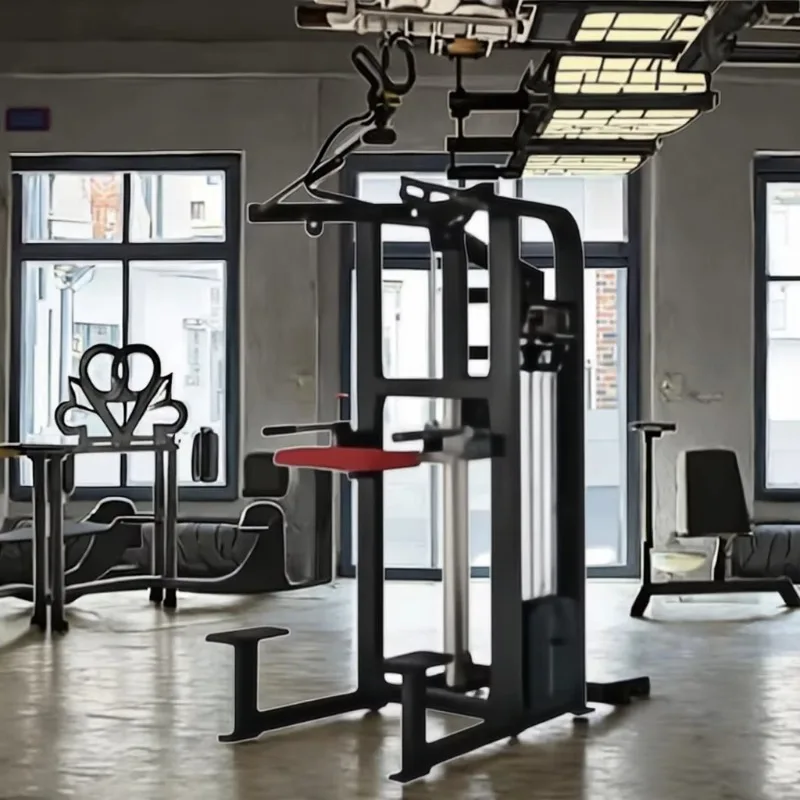 Equipo de Fitness para gimnasio, función de Fitness, dominadas asistidas por energía, máquina de ayuda para barbilla y inmersión en rodillas