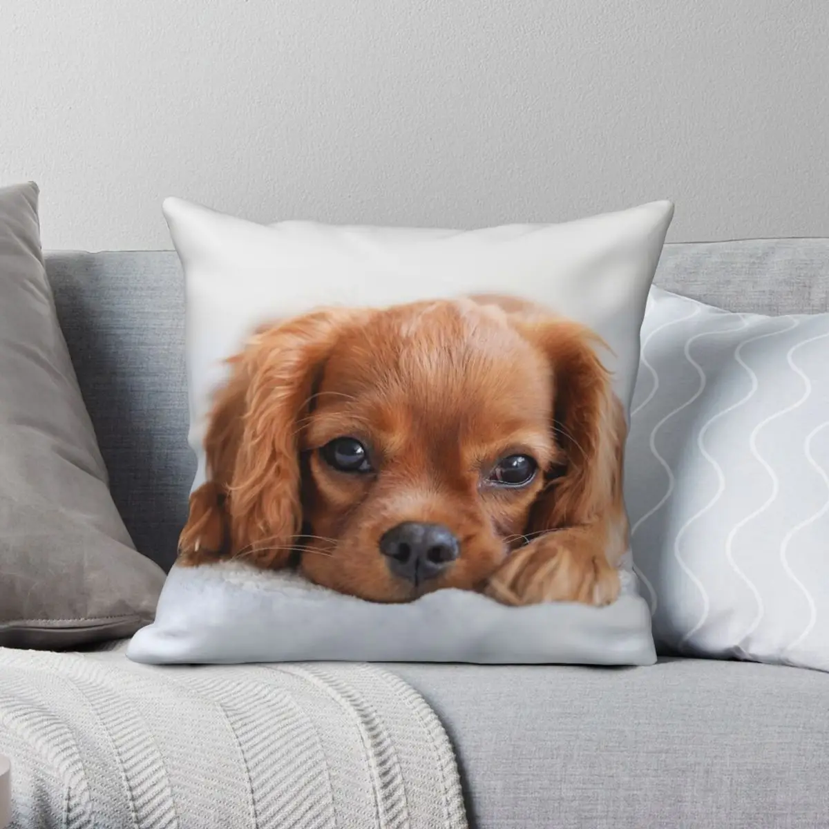 Cavalier King Charles Spaniel Square Pillowcase Polyester Linen Velvet Pattern Pillow Case Home Cushion Cover Wholesale 45x45