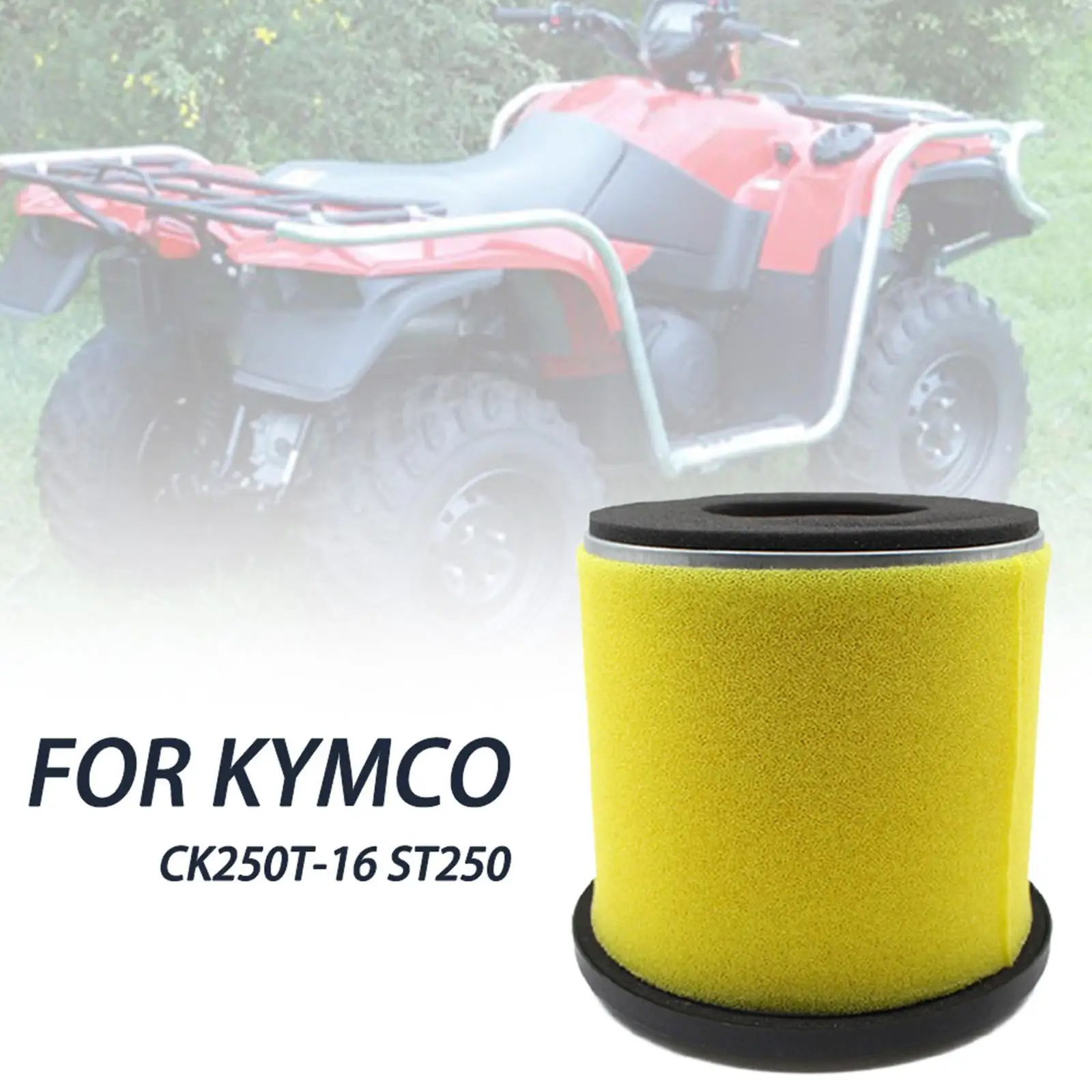 

13780-31G30 Simple Installation Direct Replace Compatible Motorcycle Air Filter for Suzuki Lt-a500x Kingquad 500 2009-2020