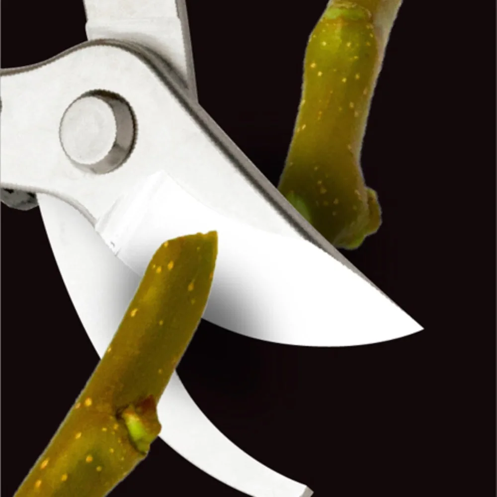 مقص البستنة الياباني - الفولاذ المقاوم للصدأ - مقصات التقليم مع الشفرات الرئيسية - 7.1 بوصة - صنع في اليابان