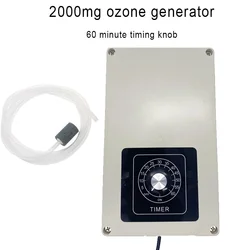 물 공기 청정기, 활성 산소 살균 소독 기계, 오존 발생기, 이온화 장치, 220V, 110V, 12V, 24V, 2000mg