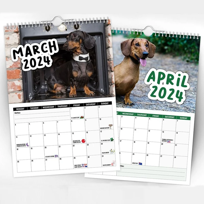 1 Piece 2024 Cheeky Dachshunds Calendar New Year's Gifts Gift Wall Calendar Paper Wall Decor Time Planning Hanging Calendar Wall