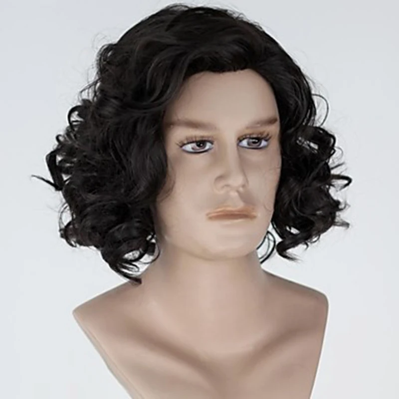 HAIRJOY  Synthetic Hair Wigs  Brown Short Curly Layered Wig  for Men