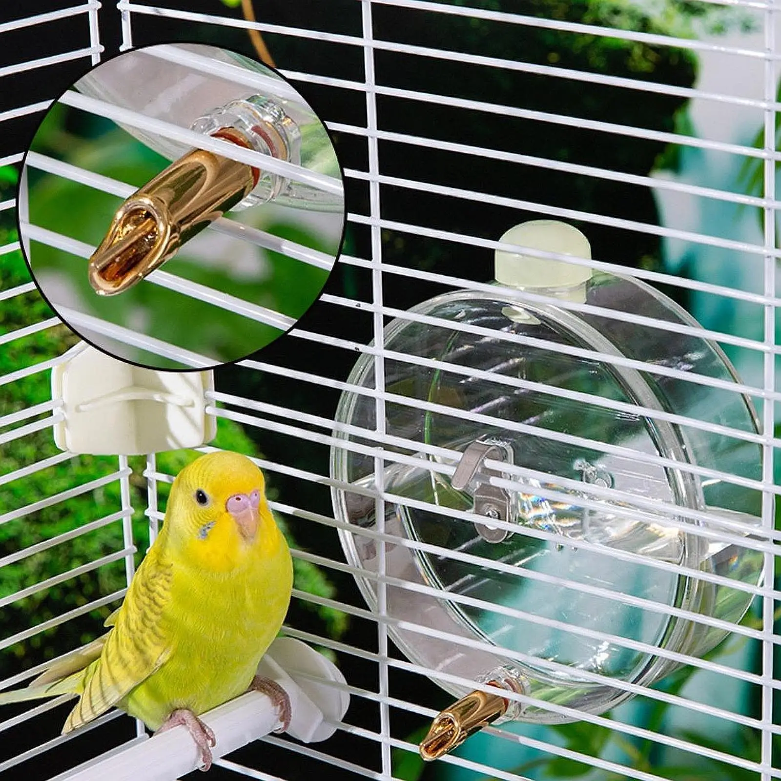 Bebedero automático resistente para loros y aves – Botella de jaula - imagen 3