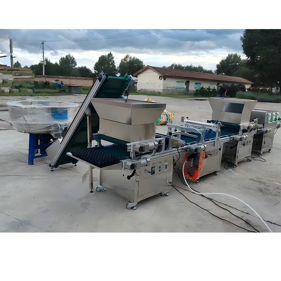 Fully Automatic Plug Tray Seedling Seeder Variable Speed Soil and Seed Dispenser Auto Photoelectric Detection Tray Seeder
