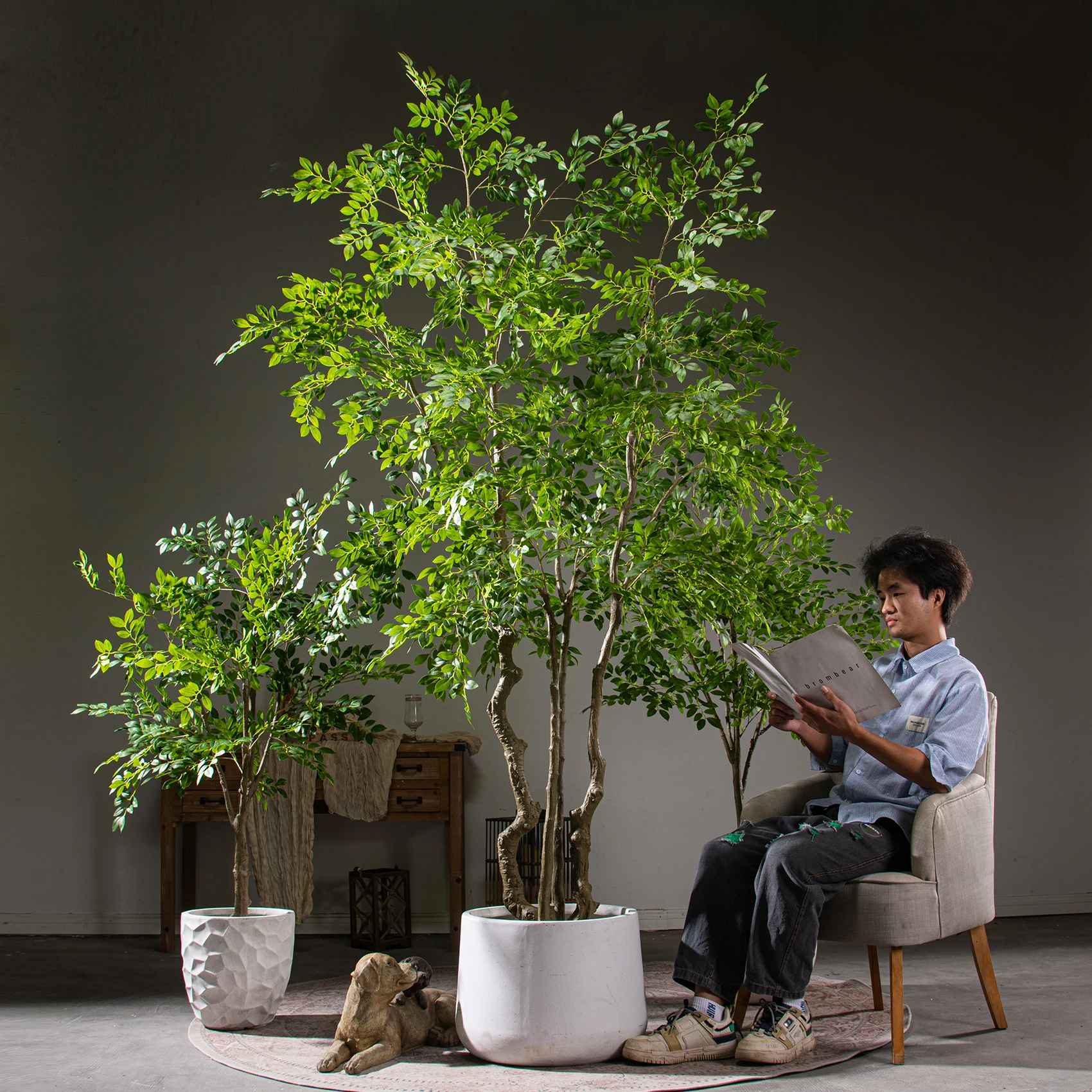 

Super large simulated elm money tree money fir plant fake tree indoor living room store green plant decoration floor ornament