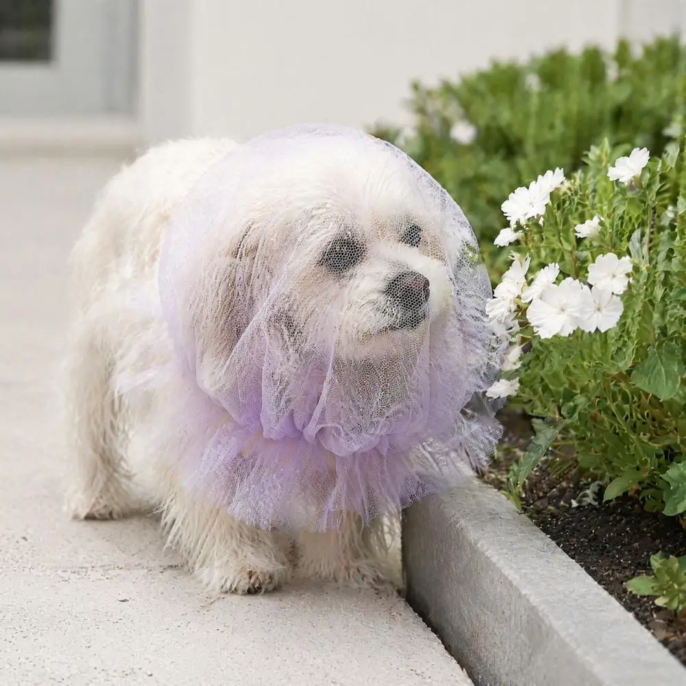 Dog Head Cover Anti-eating Mesh Anti-scavenging Dog Walking Gear Adjustable Dog Face Mesh Net Breathable Anti-eating for Small