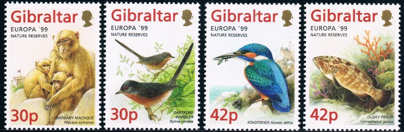 4 PCS, Gibraltar, 1999, Bird Stamps, Europa, Real Original, Good Condition Collection