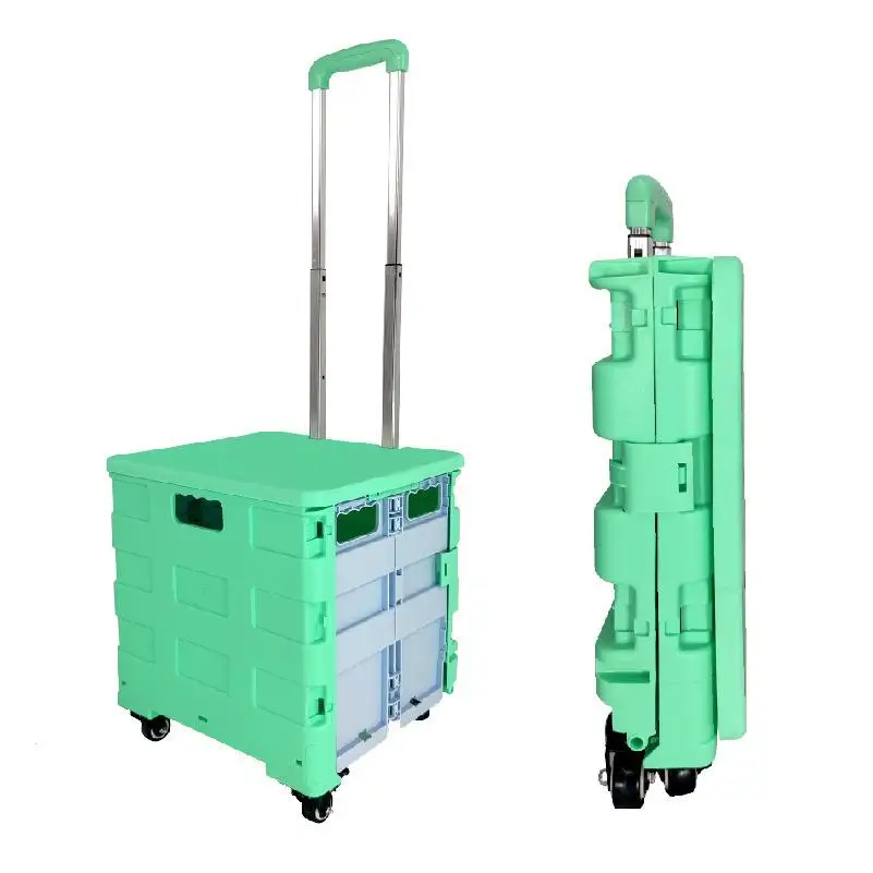 chariot-de-courses-en-plastique-pour-etudiants-chariot-portable-pour-l'achat-de-legumes-chariot-utilitaire-de-rangement-chariot-de-cuisine-pliable-chariot-de-rangement-domestique