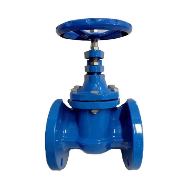 DN80-400 BS AWWA Ductile Iron Gate Valve With Flange