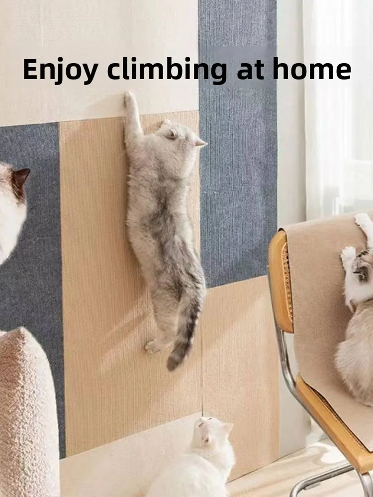 Multi-Functional Cl…