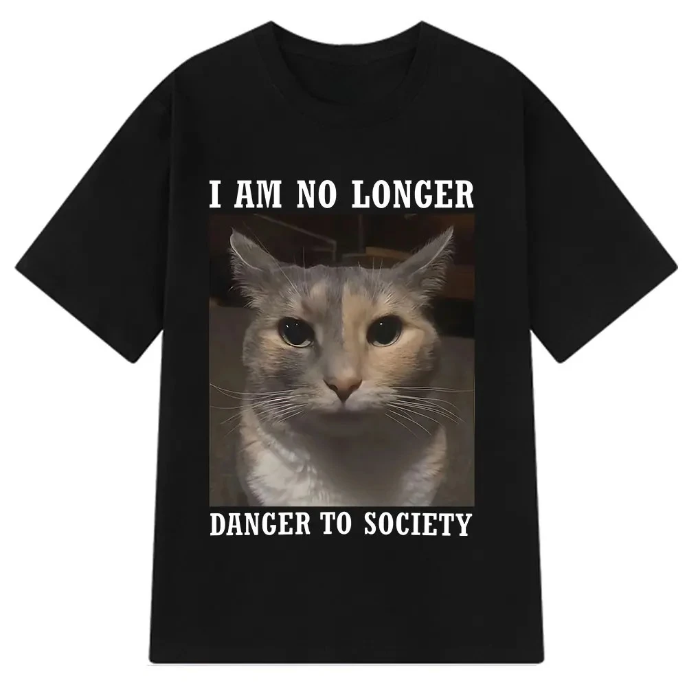 

Футболка I Am No Longer Danger To Society с забавным котом-мемом, женские модные футболки с короткими рукавами, летняя футболка, новинка, японские топы