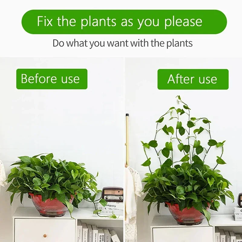 20pcs Home Garden Plant Climbing Wall Fixture Clips Rattan Vine Fixer Self-Adhesive Plant Climbing Wall Fixed Buckle Hook