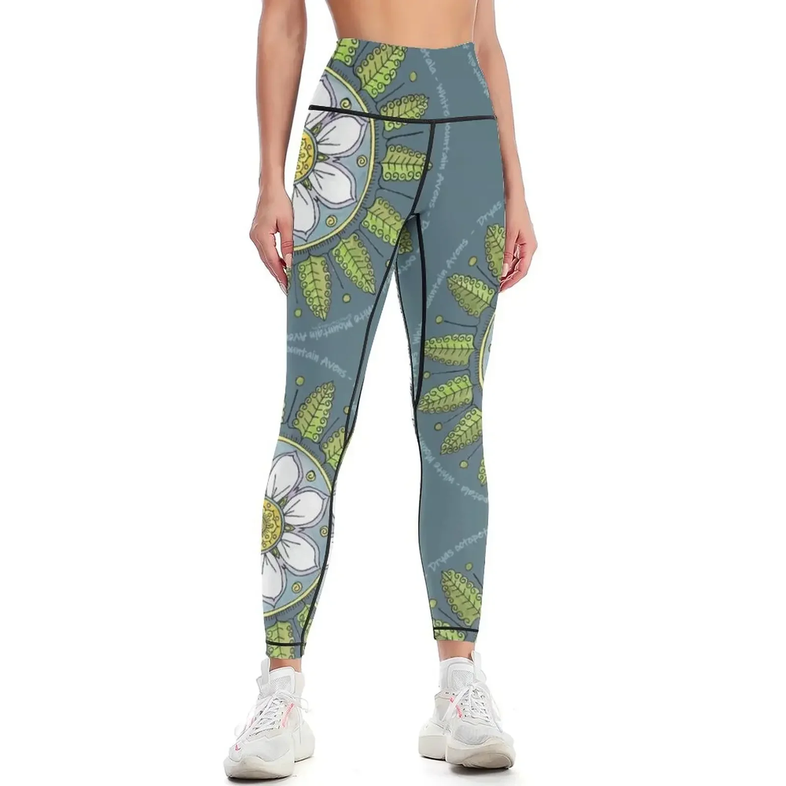 White Mountain Avens - Dryas octopetala Leggings para gimnasio, ropa deportiva para mujer, leggings para mujer