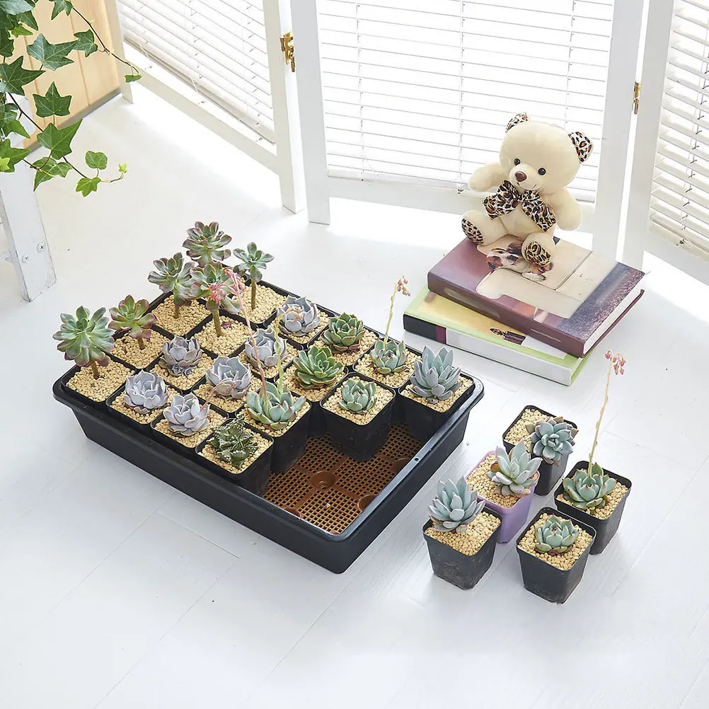 

Premium Plastic Plant Starter Tray for Flowers Vegetables Cucumbers Tomatoes Beans Drought Resistant Breathable Water Saving