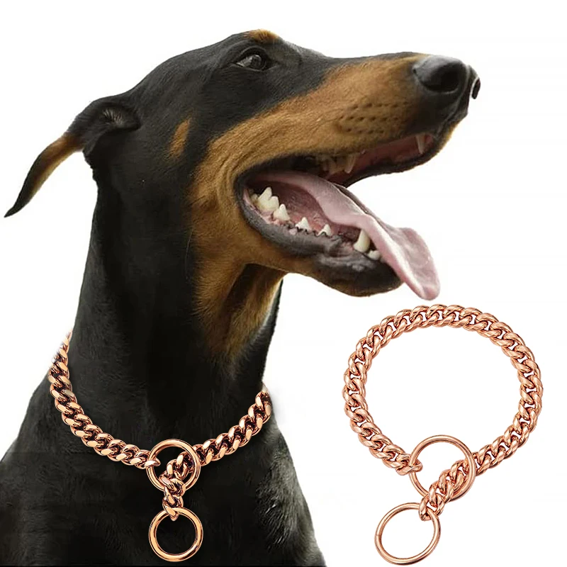 Stainless Steel Large Collar Chain for Dogs, Dog Metal P Chain Links, For Medium, Small dog, Gold Cuban Links Walking Training