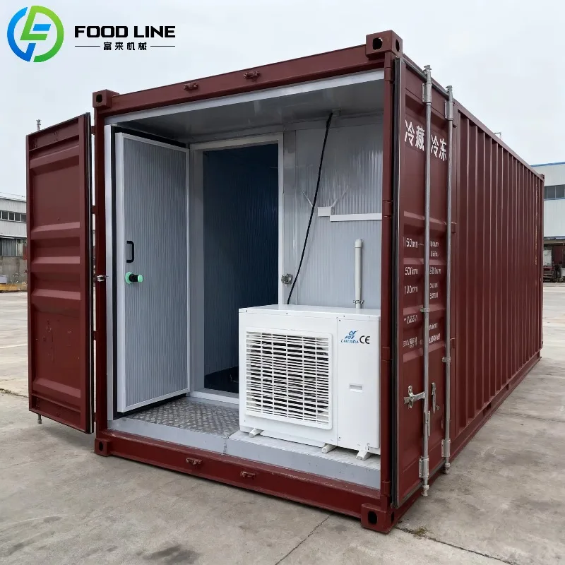 Custom Cold Room Freezer Cool Room Refrigeration Unit Food Container Snacks Meat Storage Cold Unit For Large Facilities