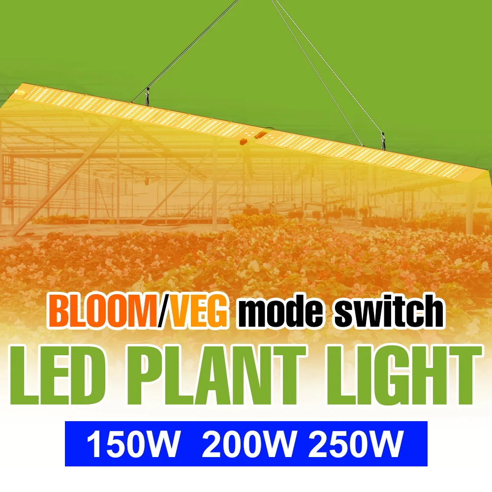 250w-led-フルスペクトル植物育成ライト-110-277v-クォンタムボード温室水耕栽培ボックス野菜種子多肉植物補光ライト