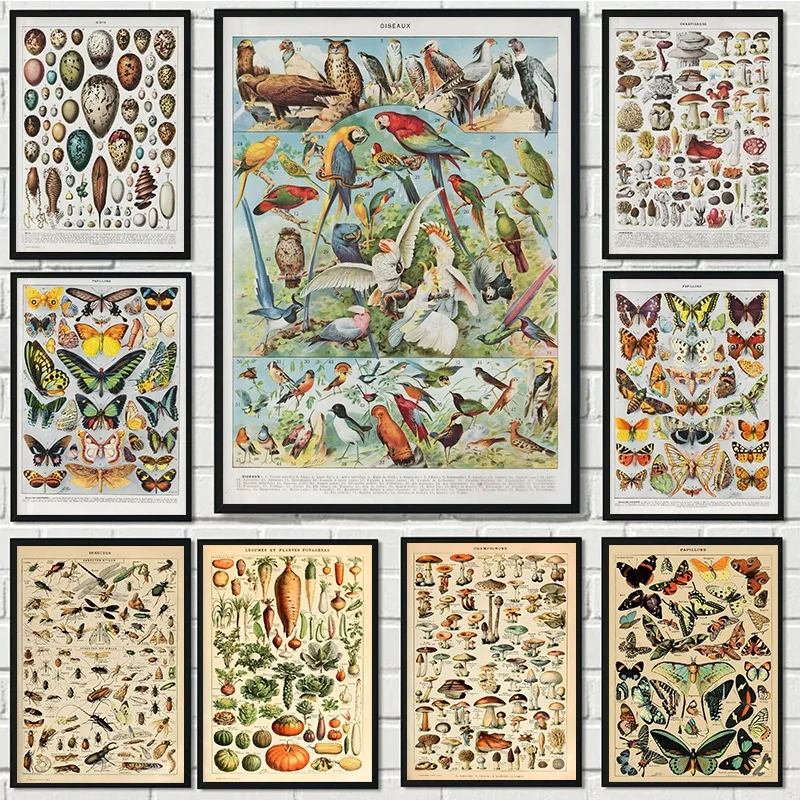 Vintage Butterfly and Insects Bird Vegetable Chart Poster and Prints Canvas Printing Wall Art Picture for Living Room Home Decor