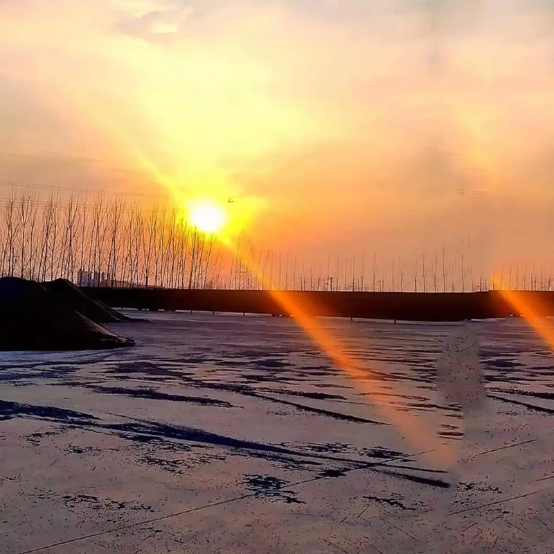 

20Pcs White Bubble Mailers Bubble Padded Mailing Envelopes Mailer Poly for Packaging Self Seal Shipping Bag Bubble Padding Black