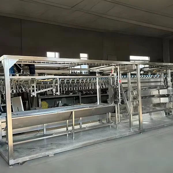 Fully automated poultry slaughter production line equipment can be customized for stainless steel chicken processing systems