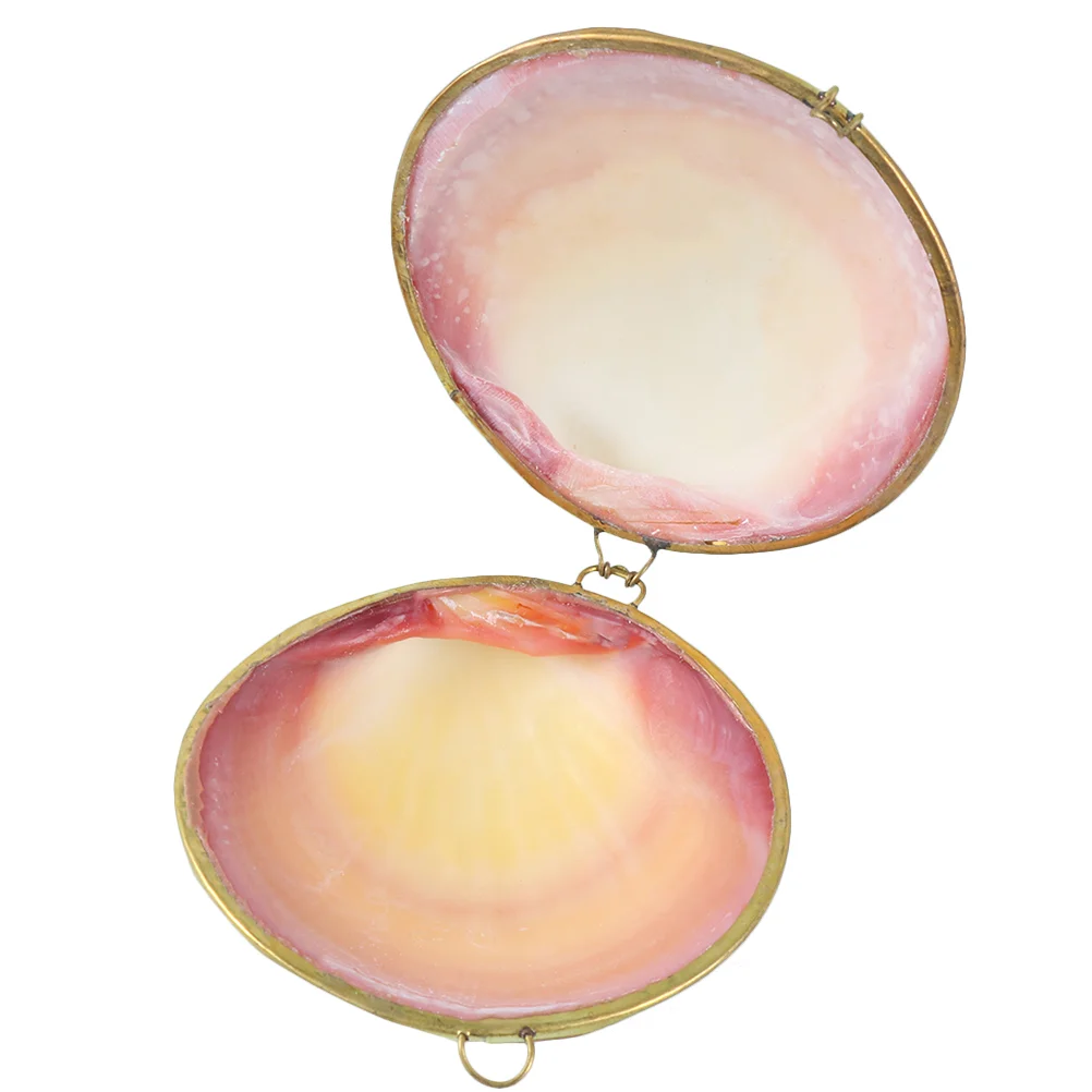 

Retro Shell Jewelry Box Premium Material Compact Travel Oyster Case Storage Container Earring Box Jewelry Packaging Display