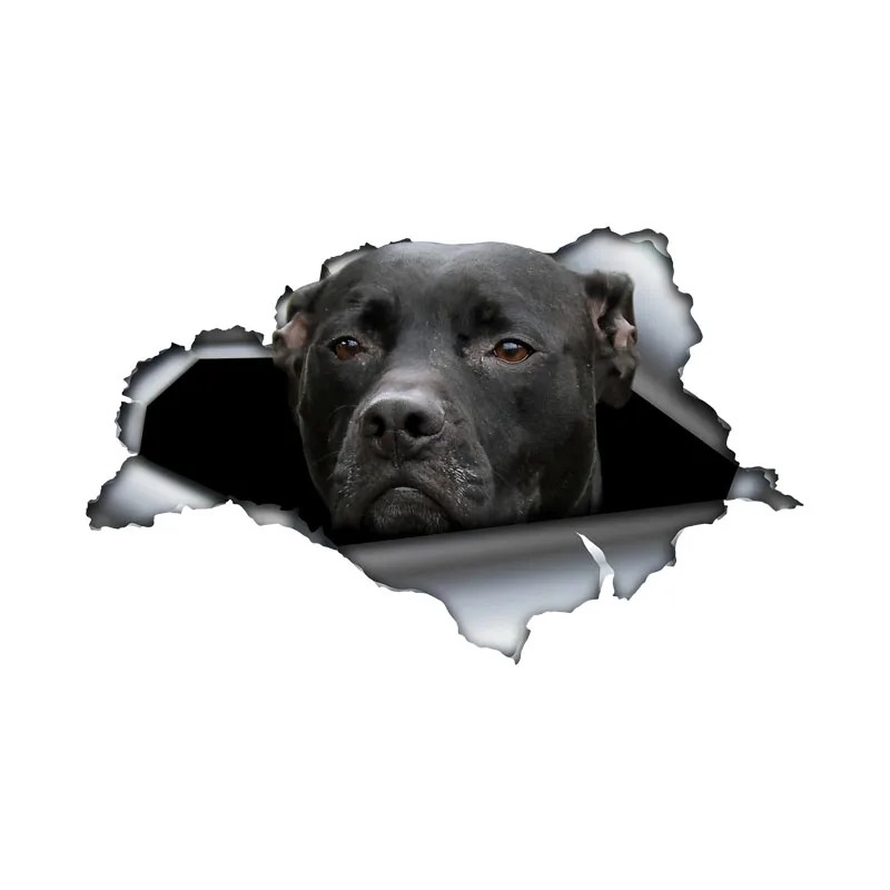 

DK580# Car Stickers for Black Pitbull Hidden in Holes, Waterproof Irregularly Shaped Car Decoration Decals