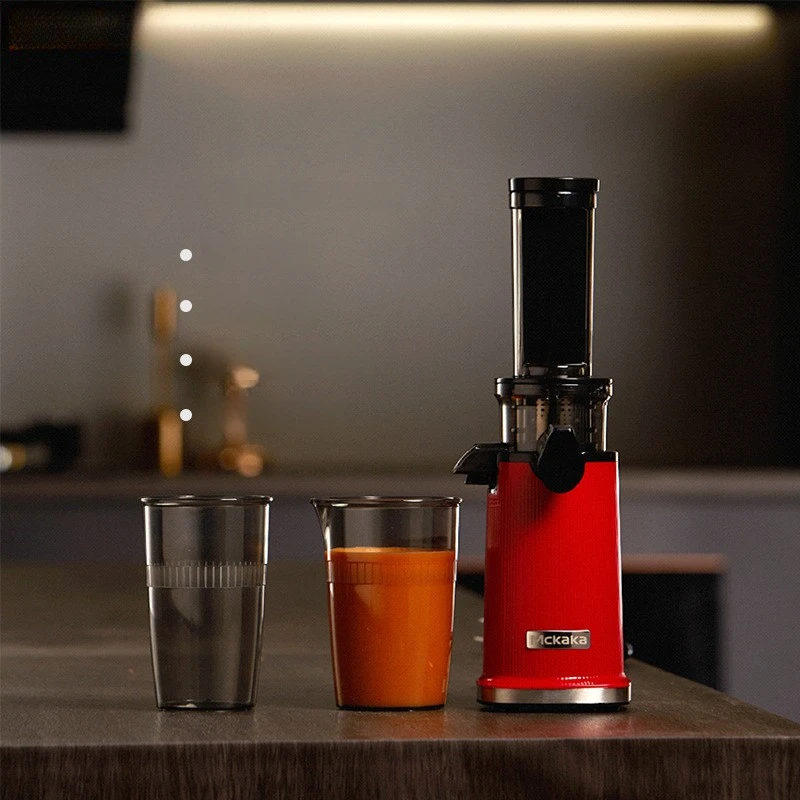 

Professional Slow Juicer, Pulp Separator One-Button, Easy Clean Mini Portable, Multi-Functional Fruit Vegetable Juicer