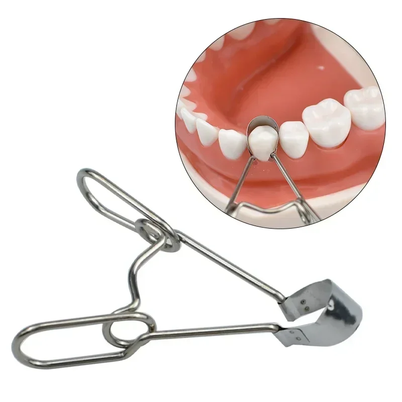 

Set Dental Saddle Contoured Metal Matrices Matrix Universal Kit with Spring Clip 36pcs 1330