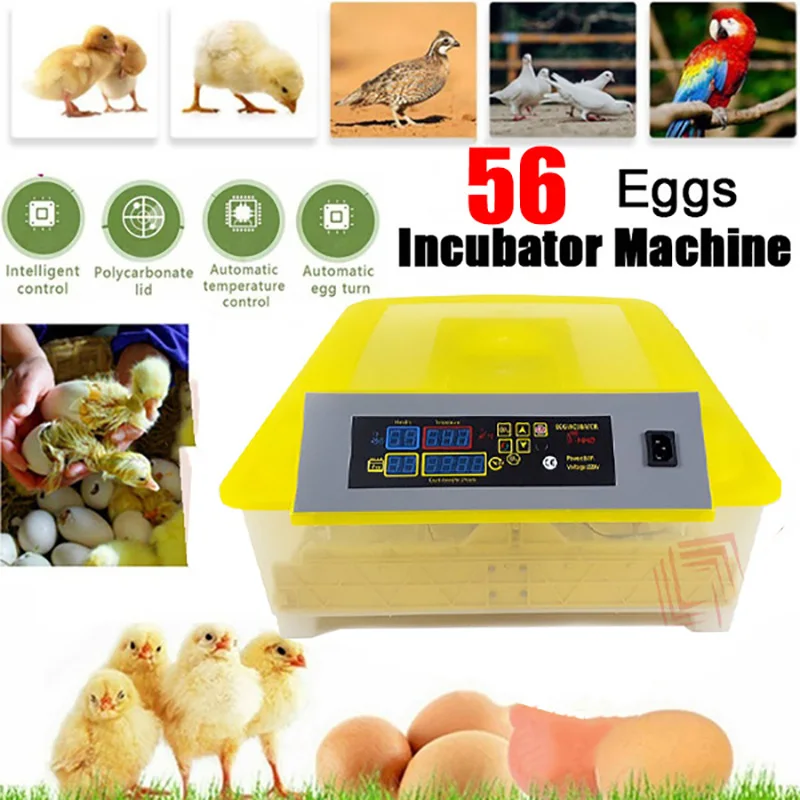 HHD 12V 220V Top Cover For Fully Automatic 56 Egg Incubator Yz-56 Hatching Machine Poultry Machine Spare Part